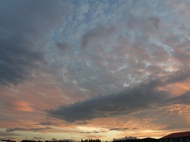 2024-07-30-1.jpg