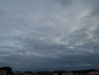 2024-08-21-3.jpg